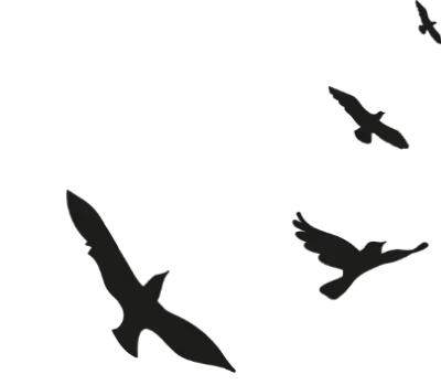 7 Days Tour 2 birds 1 1 e1714734980809