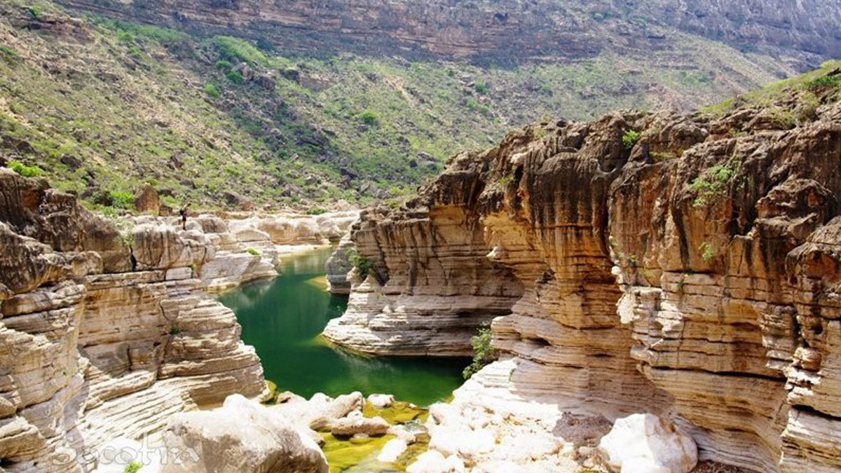 Mystical Allure of Wadi Kaleeshan 3 Mystical Allure of Wadi Kaleeshan