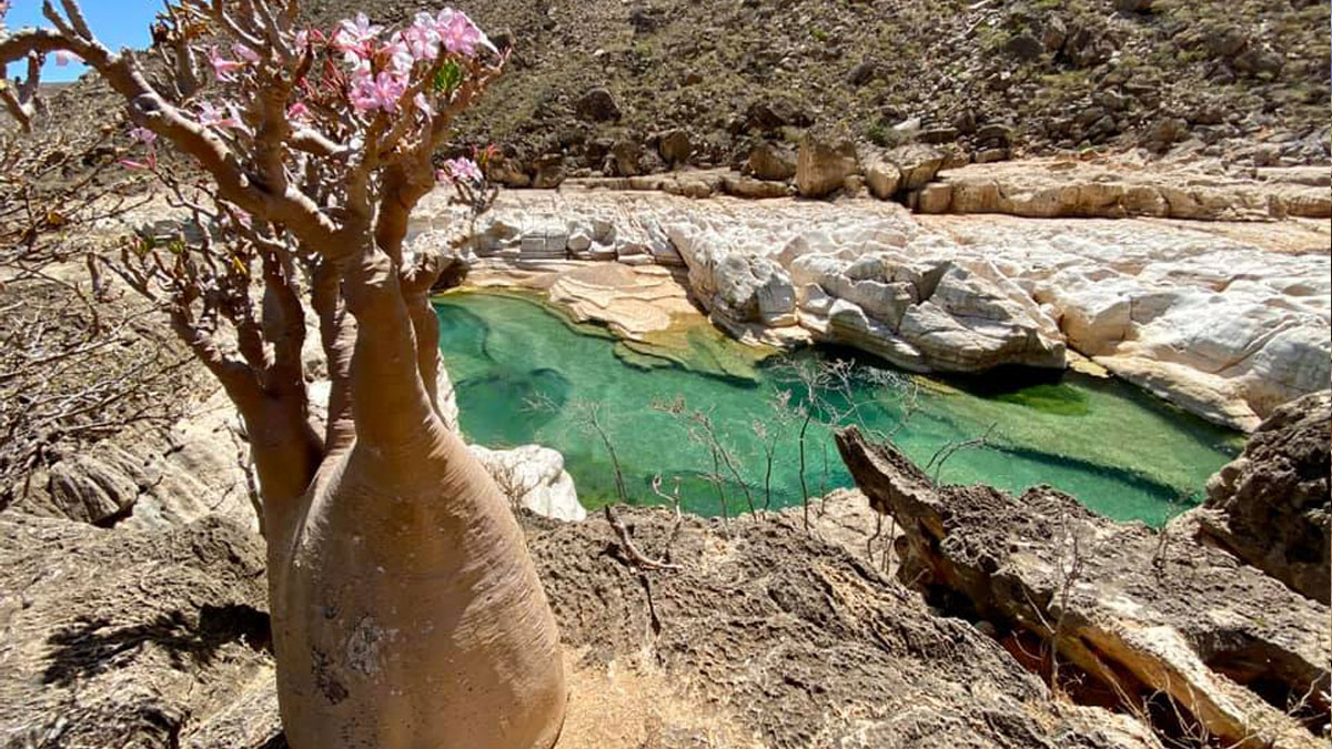 Mystical Allure of Wadi Kaleeshan 1 Mystical Allure of Wadi Kaleeshan01